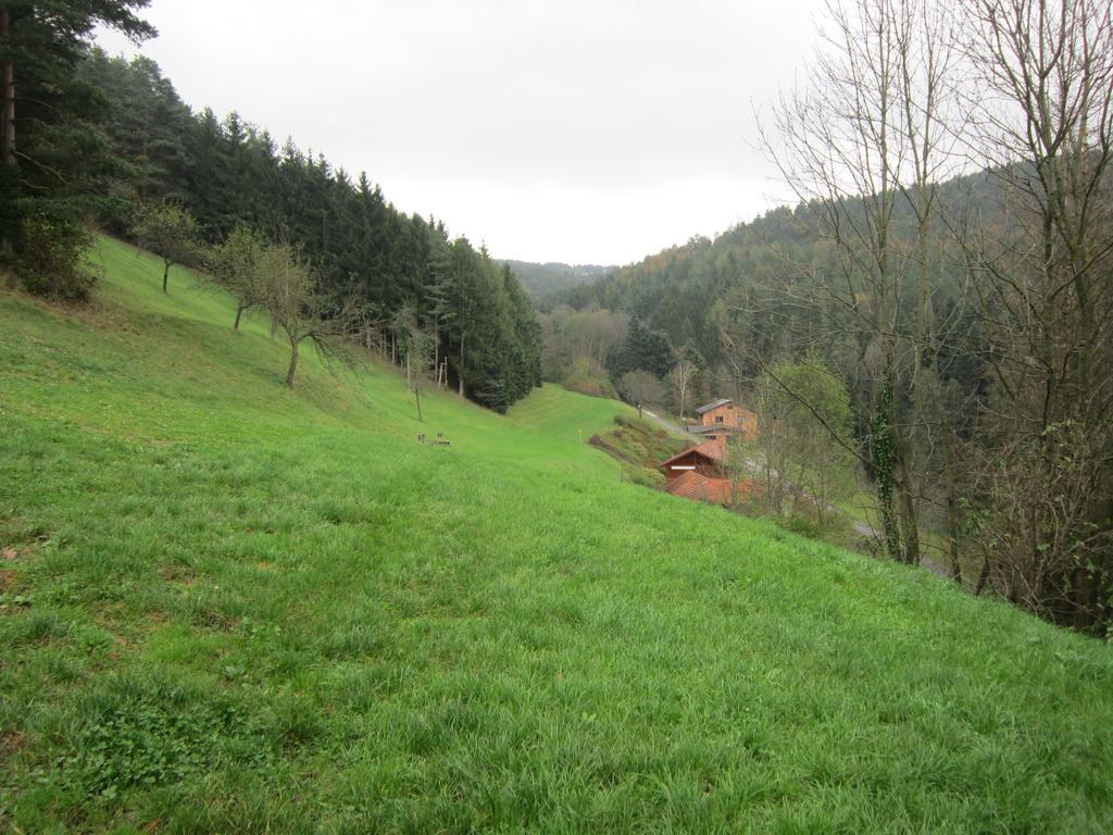 Waldpension Stachl Bromberg Exteriér fotografie