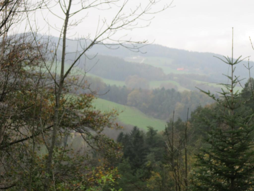 Waldpension Stachl Bromberg Exteriér fotografie